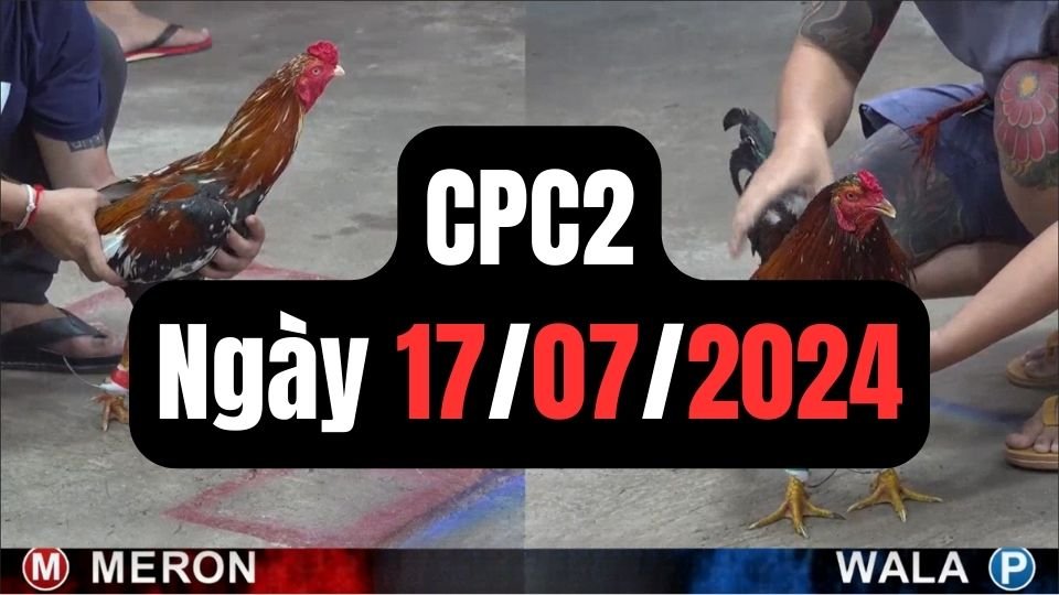 Trực tiếp đá gà thomo CPC2 ngày 17-07-2024