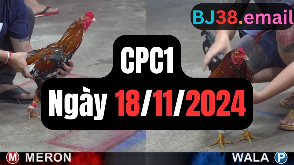 Trực tiếp đá gà thomo CPC1 ngày 18-11-2024