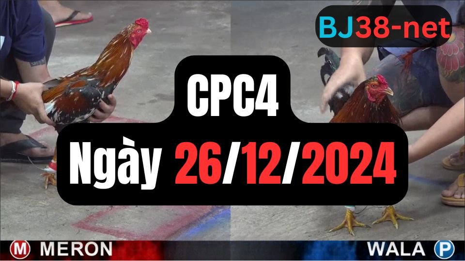 Trực tiếp đá gà thomo CPC4 ngày 26-12-2024